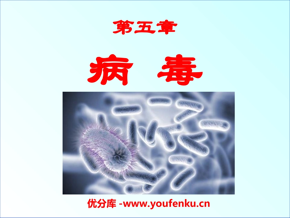 《病毒》PPT课件[人教版八年级生物上册]_第1页