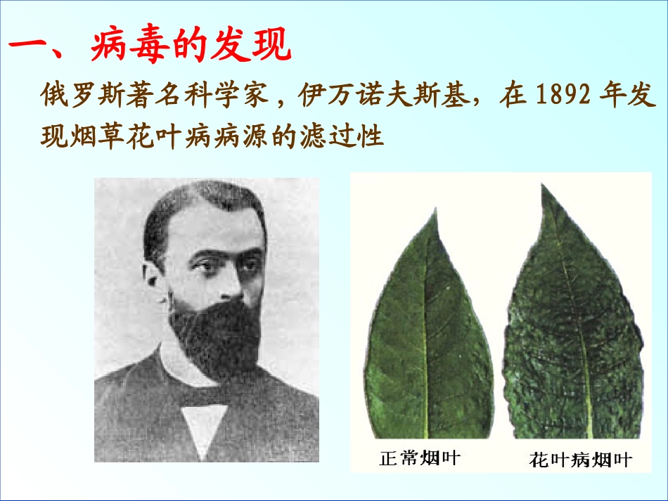 《病毒》PPT课件[人教版八年级生物上册]_第2页