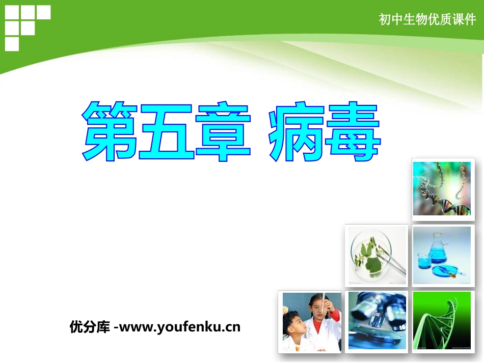 《病毒》PPT课件[人教版八年级生物上册]_第1页