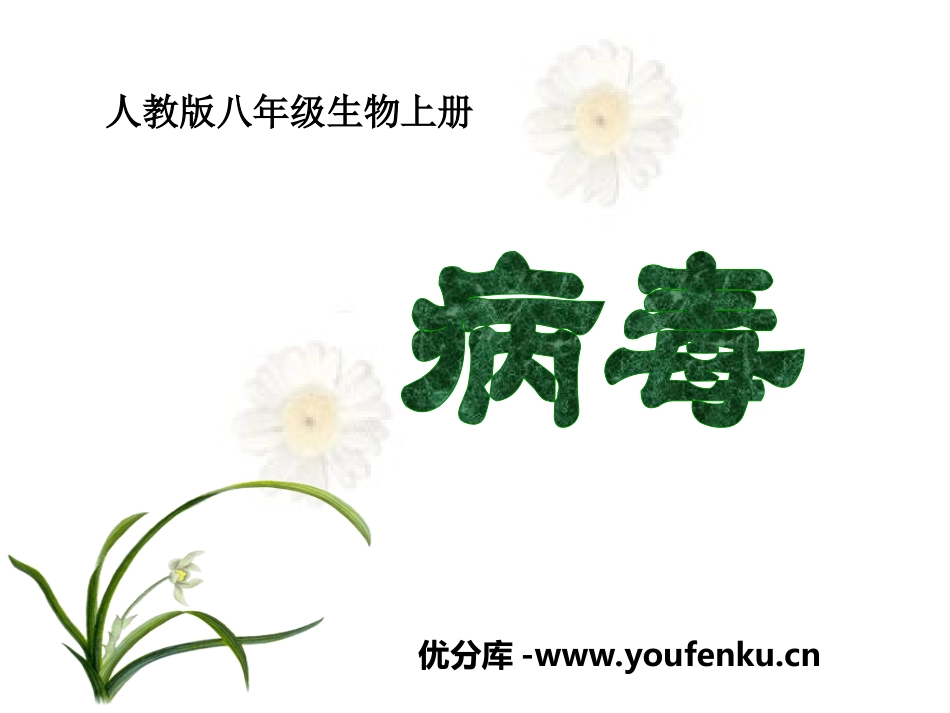 《病毒》PPT课件[人教版八年级生物上册]_第1页
