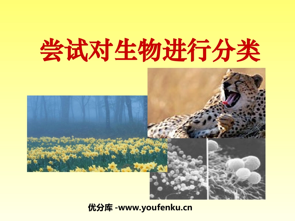 《尝试对生物进行分类》根据生物的特征进行分类PPT课件_第1页