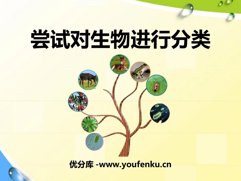 《尝试对生物进行分类》根据生物的特征进行分类PPT课件_第1页