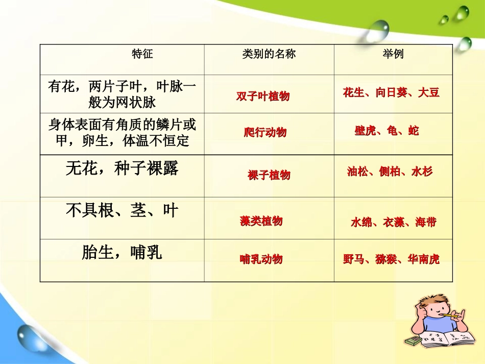 《从种到界》根据生物的特征进行分类PPT课件[人教版八年级生物]_第3页