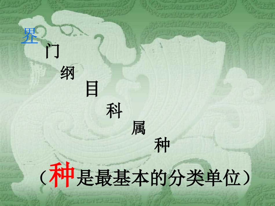《从种到界》根据生物的特征进行分类PPT课件[人教版八年级生物]_第3页