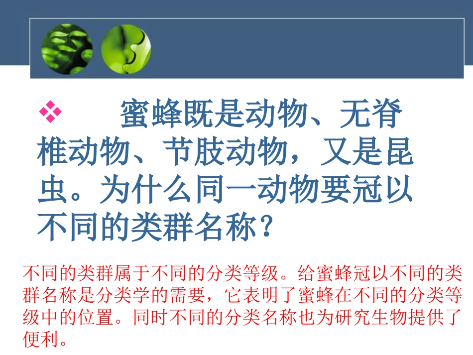 《从种到界》根据生物的特征进行分类PPT课件[人教版八年级生物]_第2页