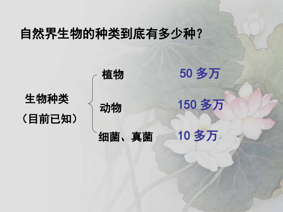 《认识生物的多样性》PPT课件[人教版八年级生物上册]_第3页
