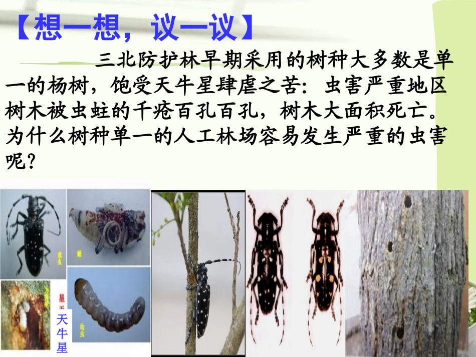 《认识生物的多样性》PPT课件[人教版八年级生物上册]_第1页