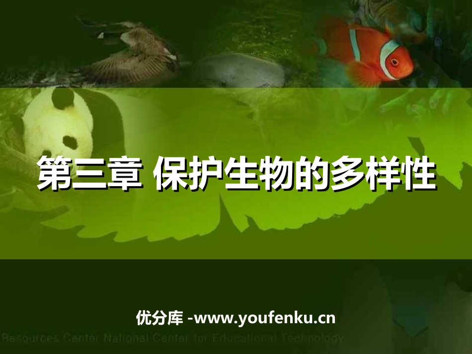 《保护生物的多样性》PPT课件[人教版八年级生物上册]_第1页