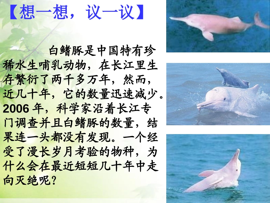 《保护生物的多样性》PPT课件[人教版八年级生物上册]_第3页