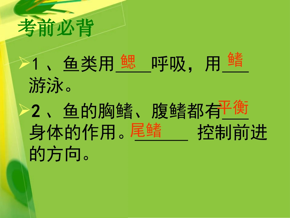 《八年级生物总复习》PPT课件[人教版八年级生物上册]_第3页