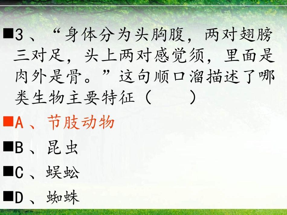 《八年级生物总复习》PPT课件[人教版八年级生物上册]_第3页