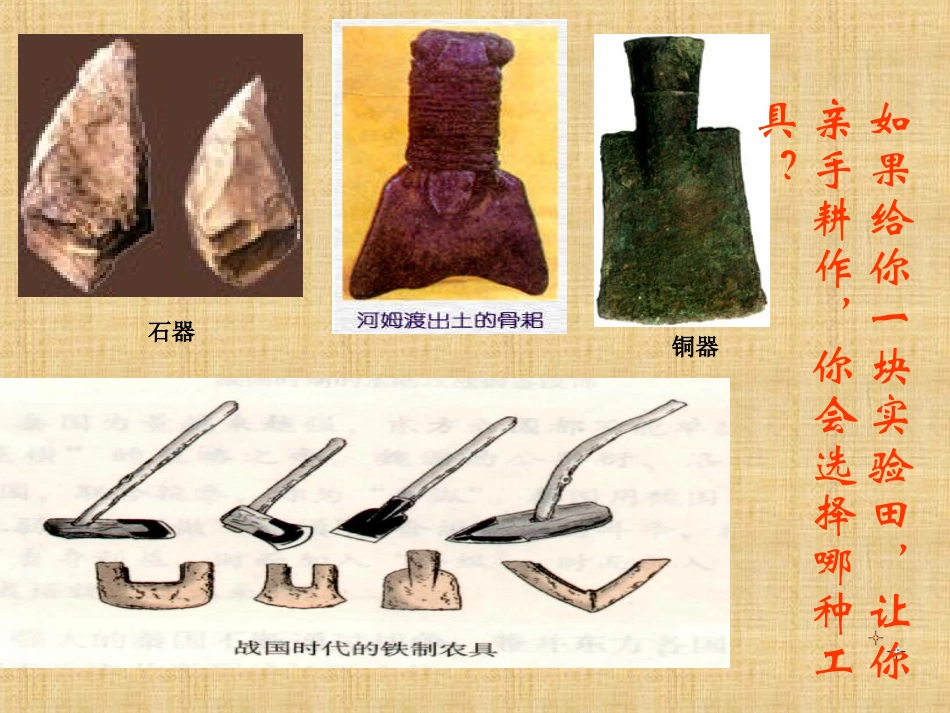 《大变革的时代》国家的产生和社会的变革PPT课件_第3页