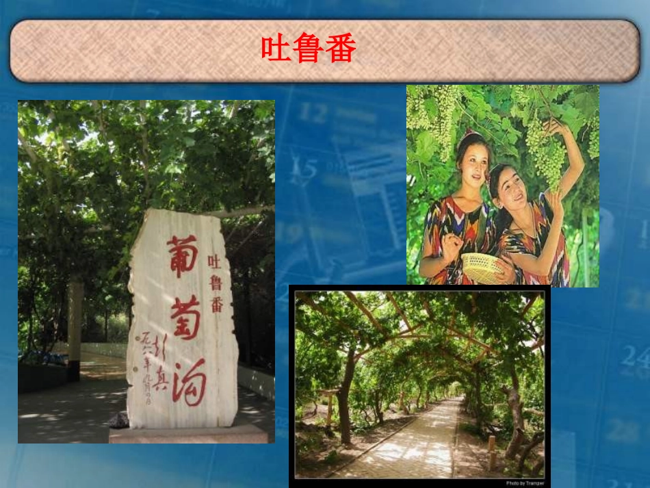 《汉通西域和丝绸之路》统一国家的建立PPT课件[部编版七年级历史]_第2页