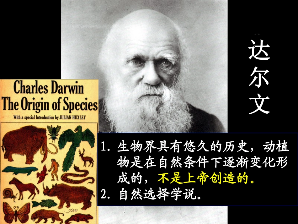 《人类的形成》人类文明的开端PPT课件[部编版九年级历史]_第3页
