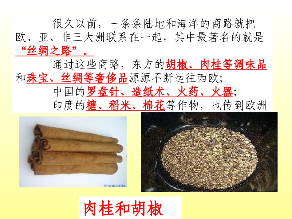 《东西方文化交流的使者》古代文明的传播与发展PPT课件_第3页
