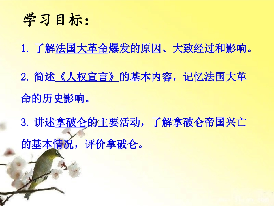《法国大XXX和拿破仑帝国》步入近代PPT课件[部编版九年级历史]_第2页