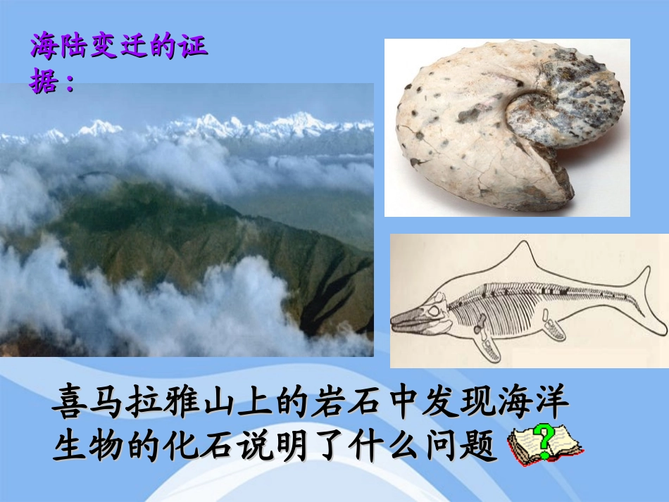 《海陆的变迁》陆地和海洋PPT课件[人教版七年级地理上册]_第3页