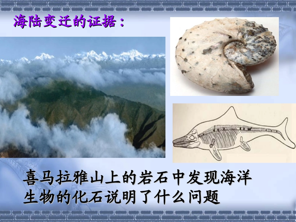 《海陆的变迁》陆地和海洋PPT课件[人教版七年级地理上册]_第3页