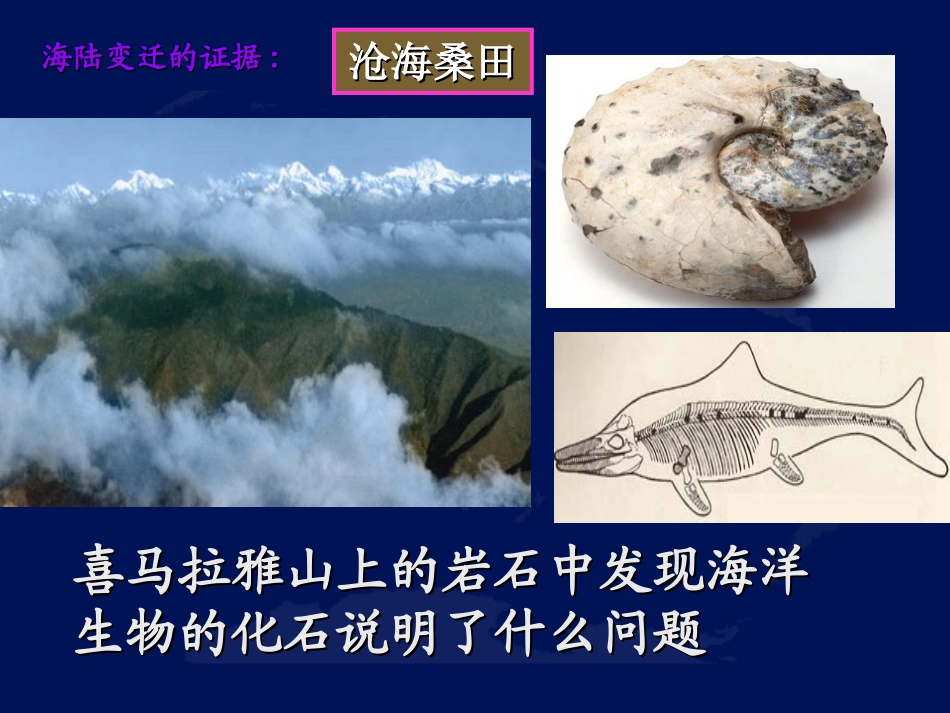 《海陆的变迁》陆地和海洋PPT课件[人教版七年级地理上册]_第3页