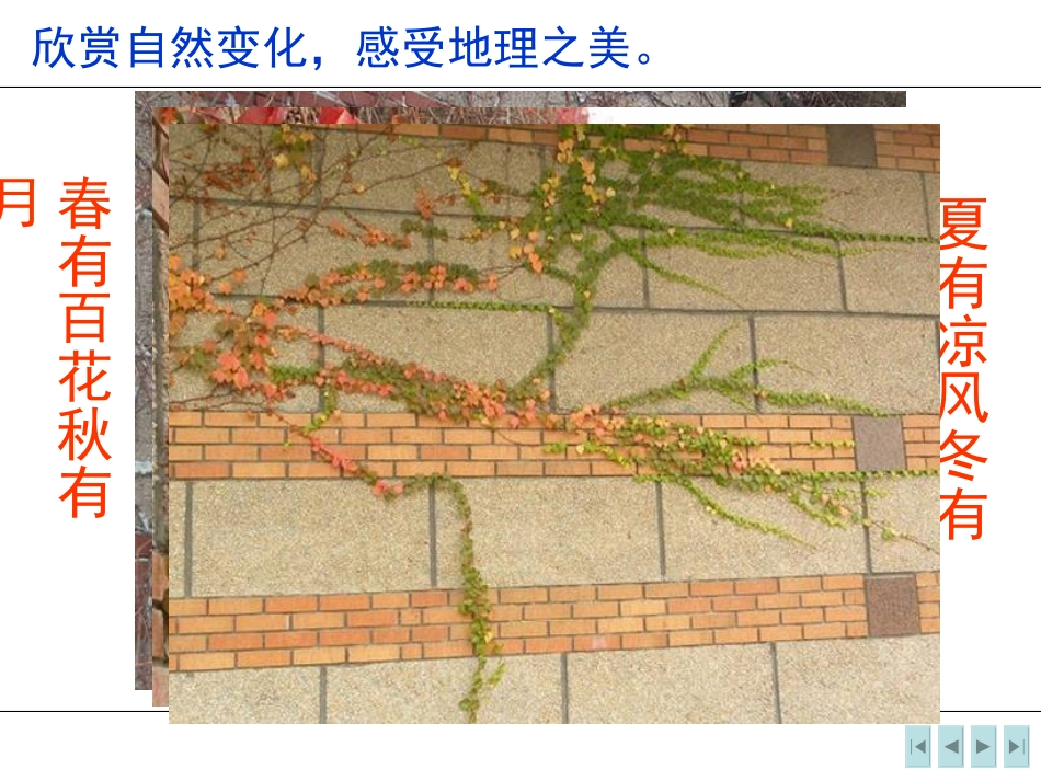 《气温的变化与分布》天气与气候PPT课件[人教版七年级地理]_第3页