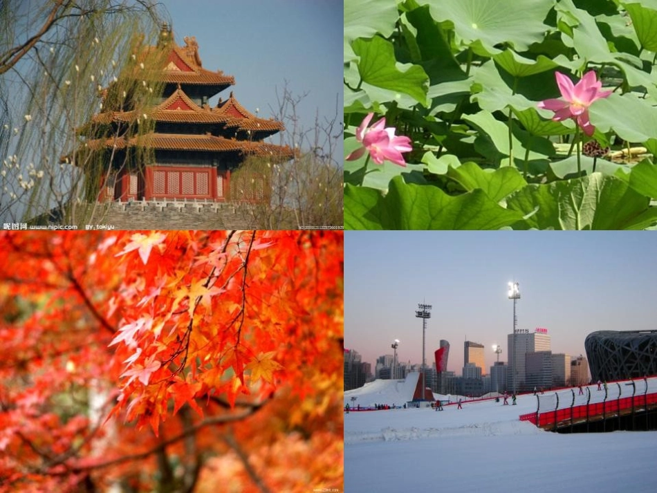 《世界的气候》天气与气候PPT课件[人教版七年级地理上册]_第2页
