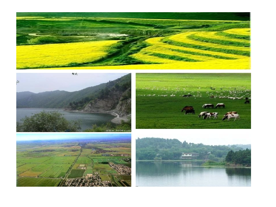 《地形和地势》中国的自然环境PPT课件[人教版八年级地理]_第3页