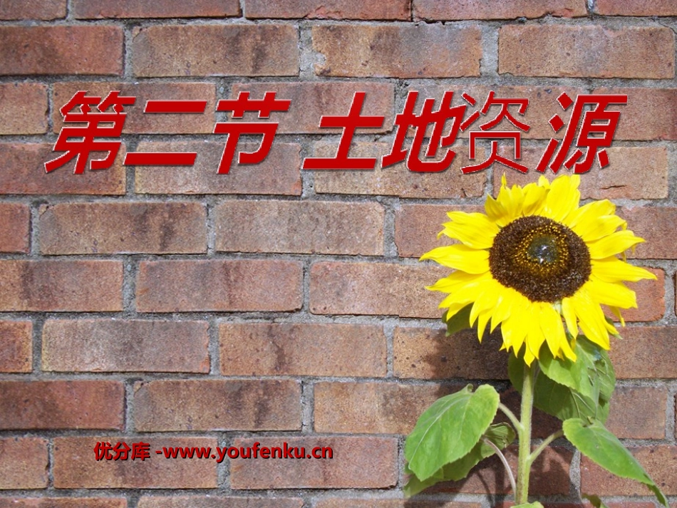 《土地资源》中国的自然资源PPT课件[人教版八年级地理上册]_第1页