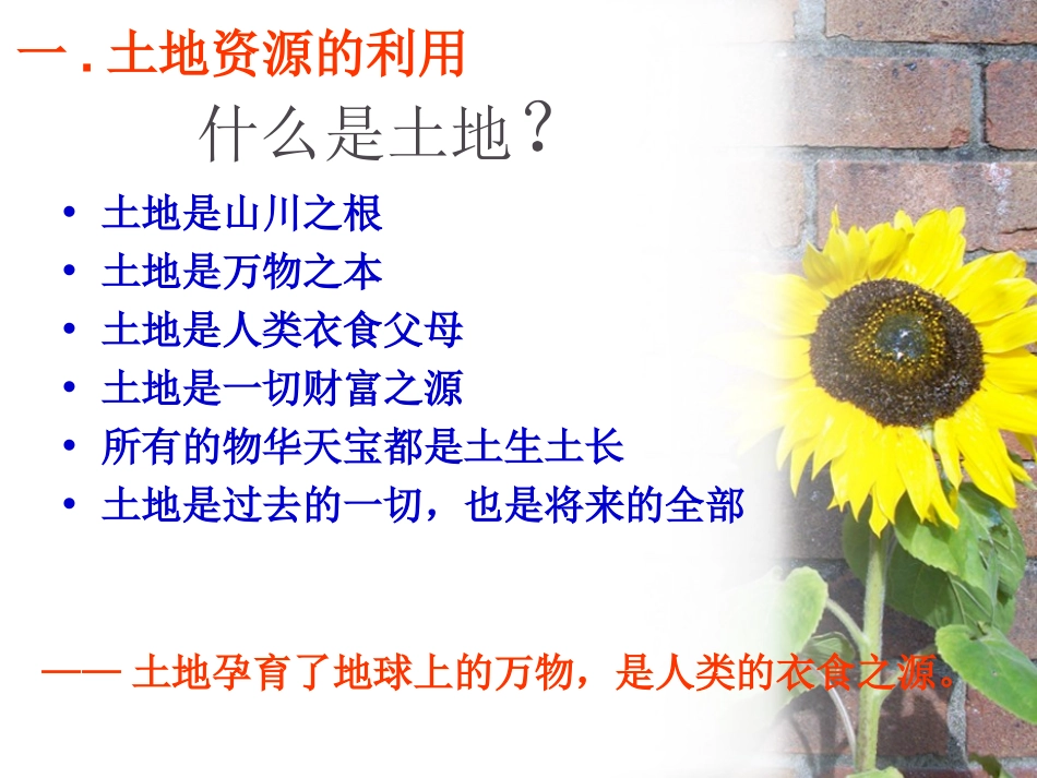 《土地资源》中国的自然资源PPT课件[人教版八年级地理上册]_第3页