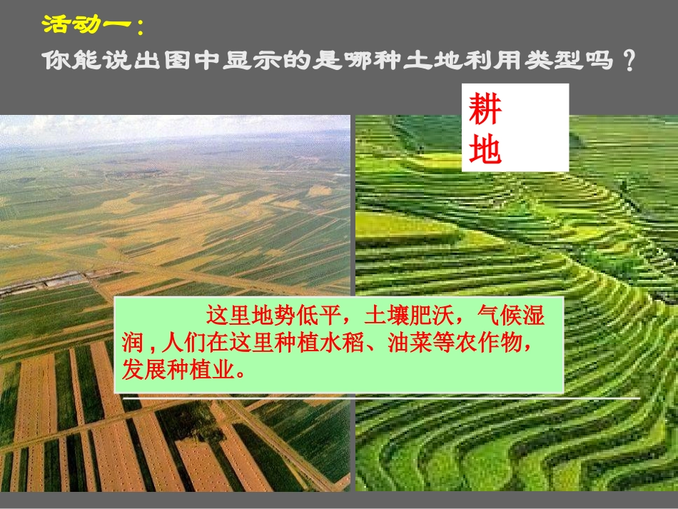 《土地资源》中国的自然资源PPT课件[人教版八年级地理上册]_第2页