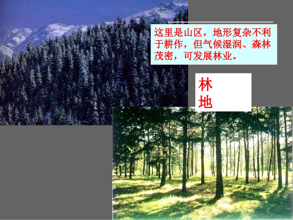 《土地资源》中国的自然资源PPT课件[人教版八年级地理上册]_第3页