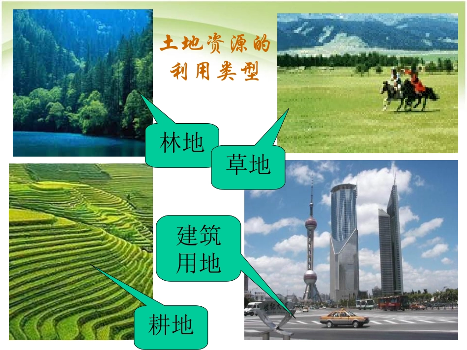 《土地资源》中国的自然资源PPT课件[人教版八年级地理上册]_第3页