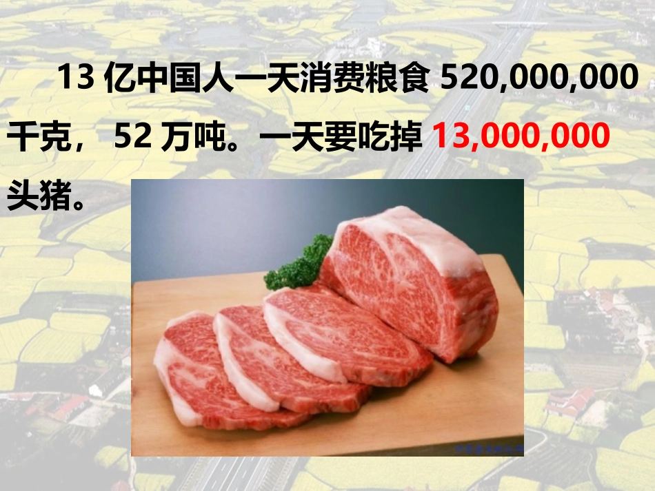 《农业》中国的经济发展PPT课件[人教版八年级地理上册]_第2页