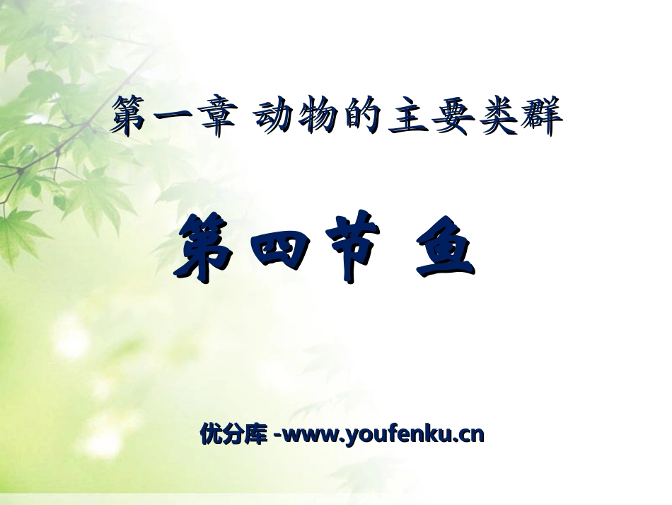 《鱼》动物的主要类群PPT课件[人教版八年级生物上册]_第1页