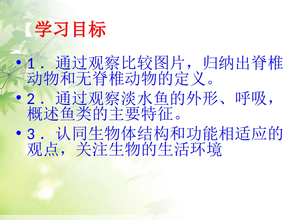 《鱼》动物的主要类群PPT课件[人教版八年级生物上册]_第2页