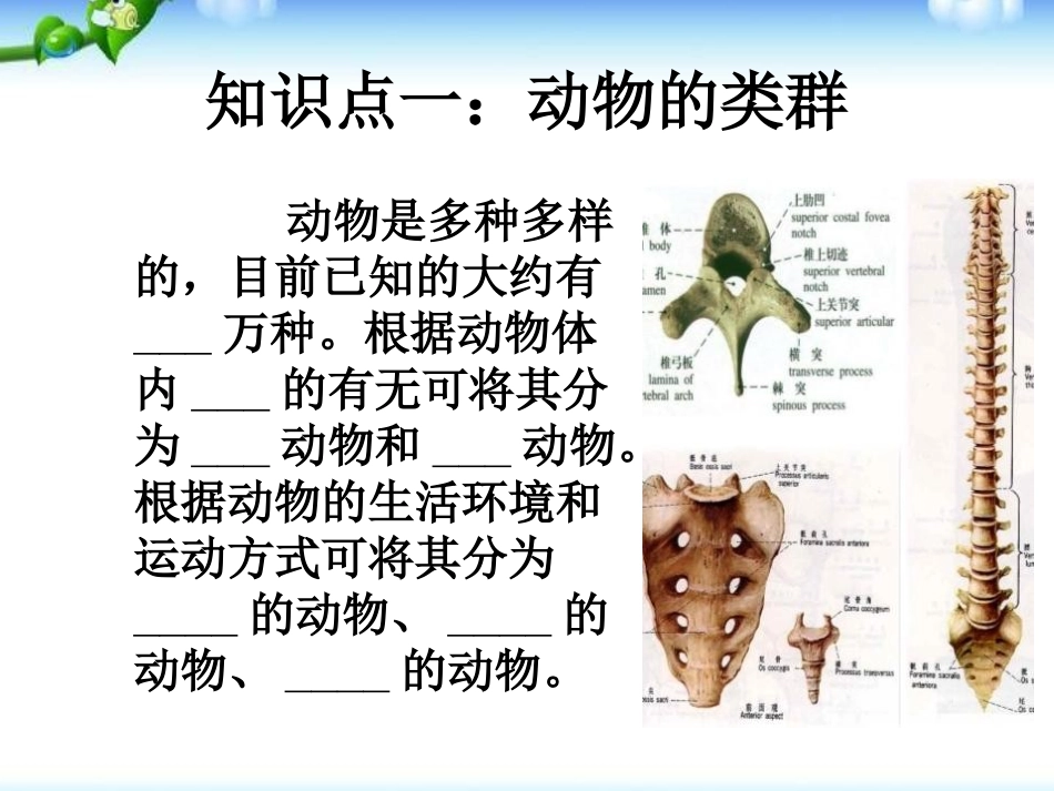 《鱼》动物的主要类群PPT课件[人教版八年级生物上册]_第3页