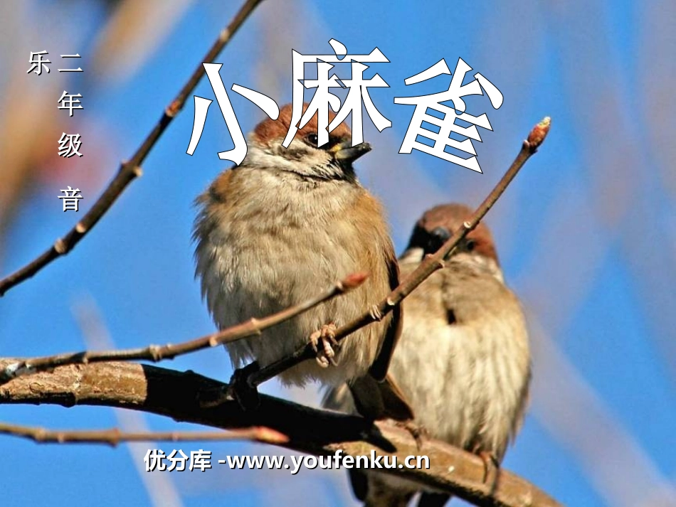 《小麻雀》PPT课件[二年级音乐上册]_第1页