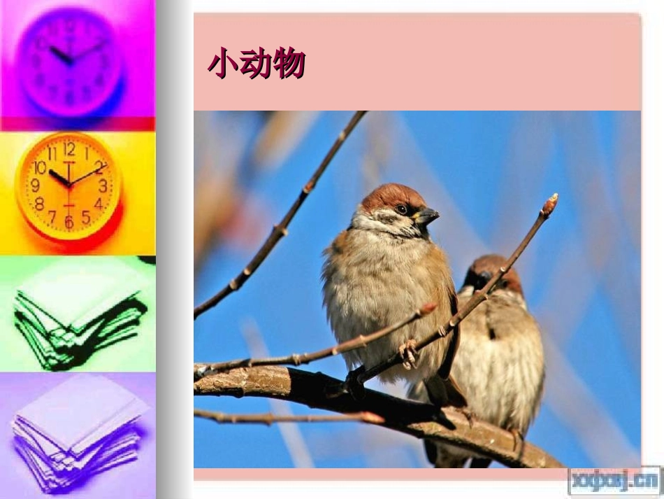 《小麻雀》PPT课件[二年级音乐上册]_第2页