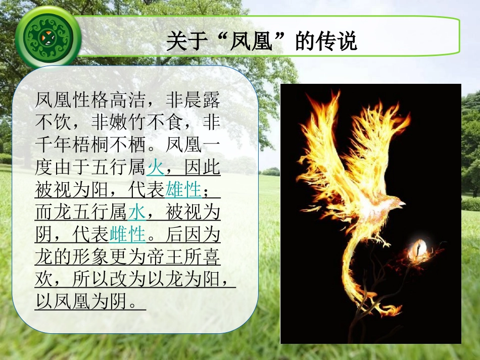 《百鸟朝凤》PPT课件[二年级音乐上册]_第2页