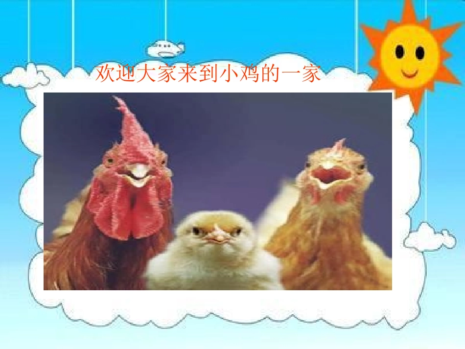 《小鸡的一家》PPT课件[二年级音乐上册]_第2页