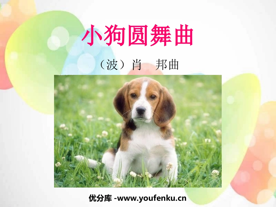 《小狗圆舞曲》PPT课件[二年级音乐上册]_第1页