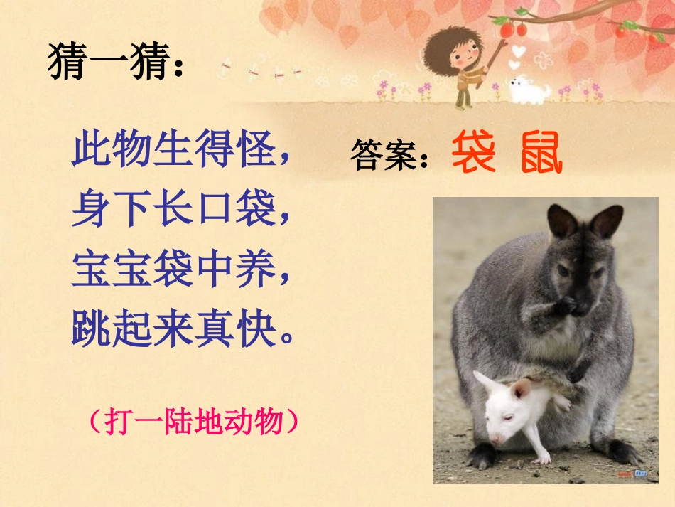 《小袋鼠》PPT课件[二年级音乐上册]_第3页