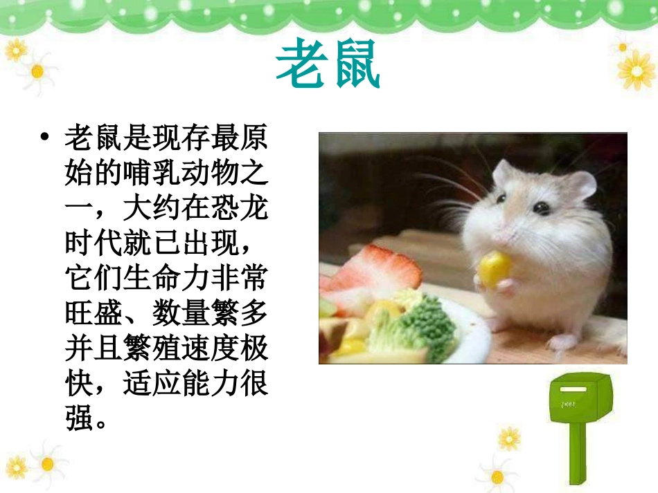 《老鼠和大象》PPT课件[四年级音乐上册]_第2页