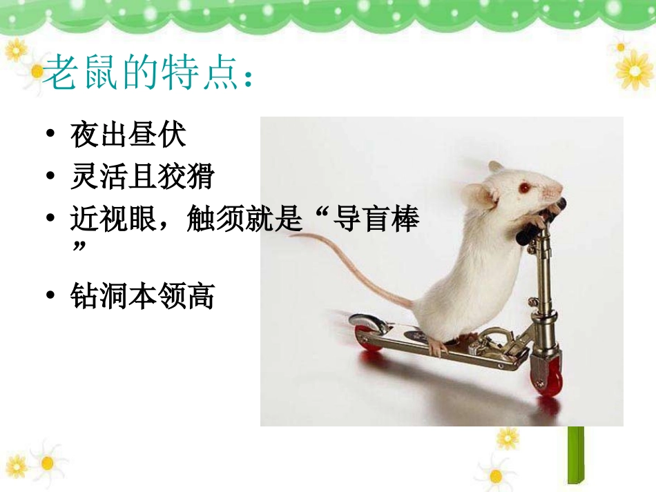 《老鼠和大象》PPT课件[四年级音乐上册]_第3页