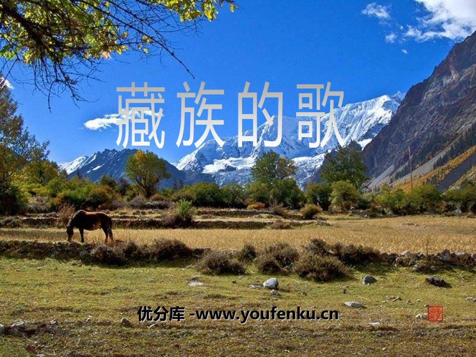 《藏族的歌》PPT课件[四年级音乐上册]_第1页