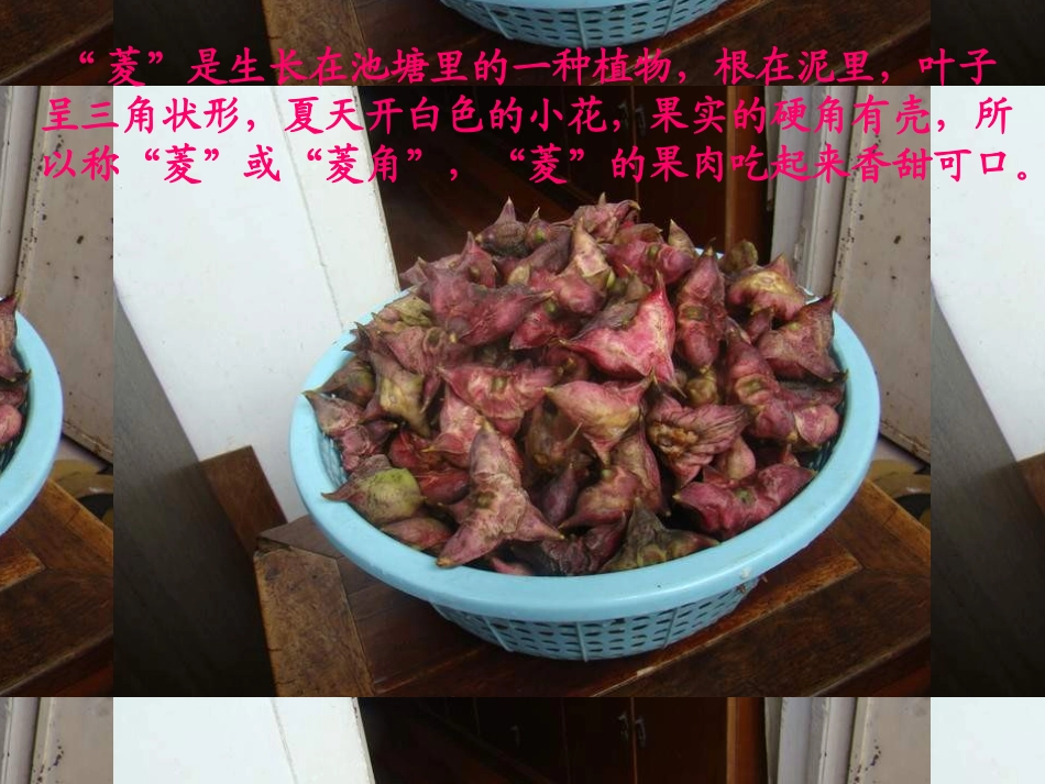 《采菱》PPT课件[四年级音乐上册]_第2页