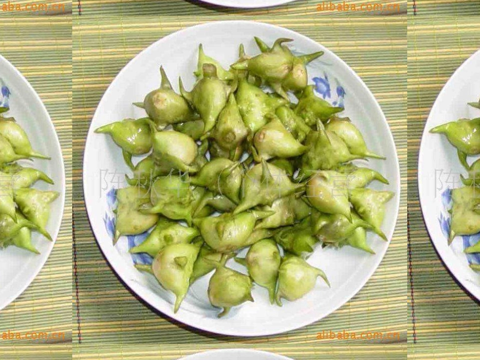 《采菱》PPT课件[四年级音乐上册]_第3页