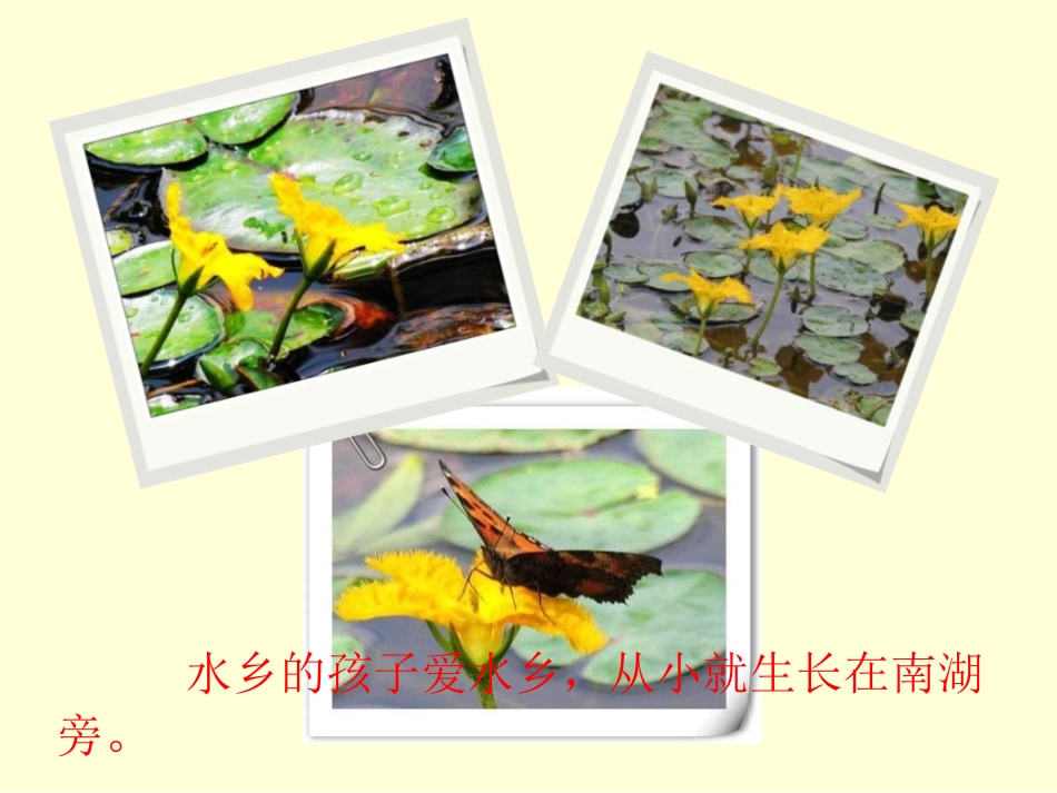 《采菱》PPT课件[四年级音乐上册]_第2页
