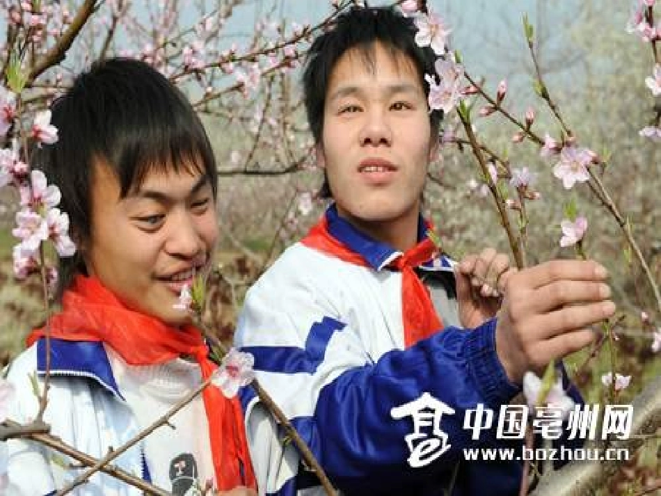 《爱的人间》PPT课件[五年级音乐上册]_第2页
