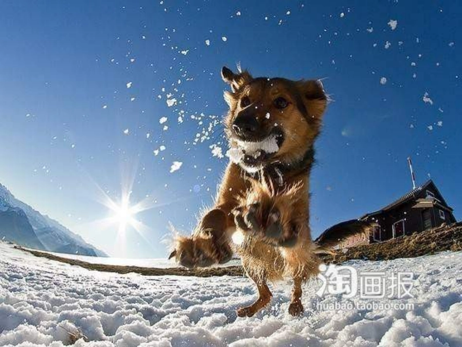 《铃儿响叮当》PPT课件[五年级音乐上册]_第3页