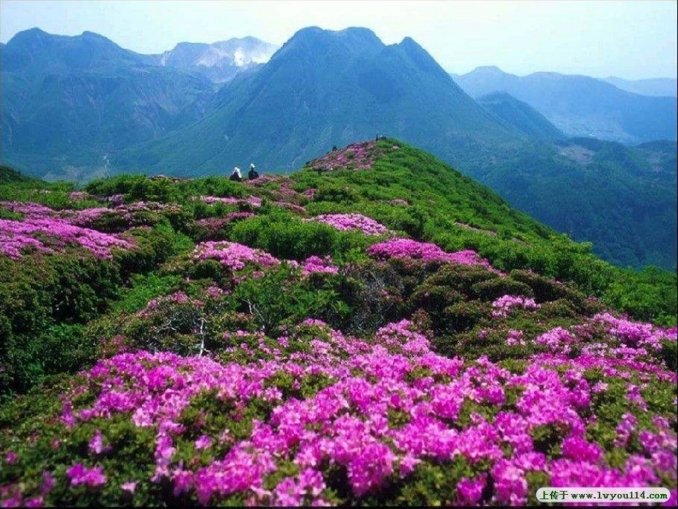 《如今家乡山连山》PPT课件[五年级音乐上册]_第3页